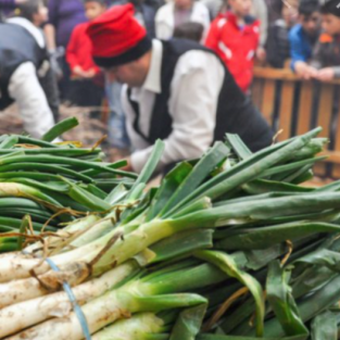 Gran Calçotada amb visita a Valls