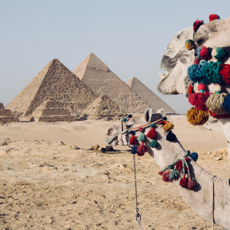 Egipte com mai l’has vist: creuer pel Nil i el Nou Gran Museu Egipci