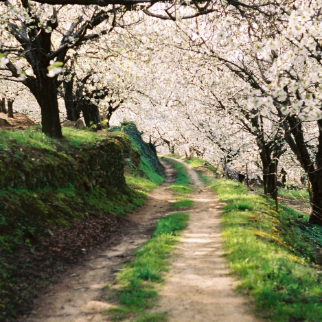 Vall del Jerte i Comarca de la Vera: natura, història i cultura a Extremadura