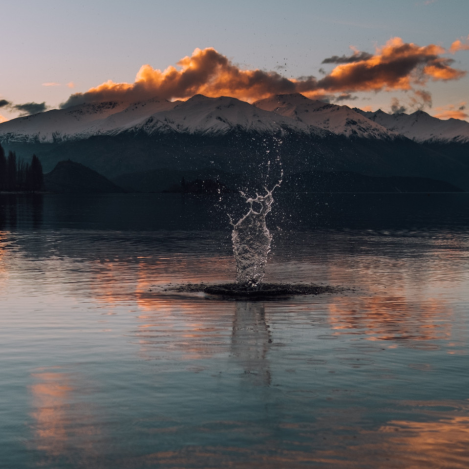 Nova Zelanda en estat pur: descobreix Aotearoa
