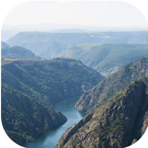 Descobreix la Ribeira Sacra i l’interior de Galícia: natura, patrimoni i tradició